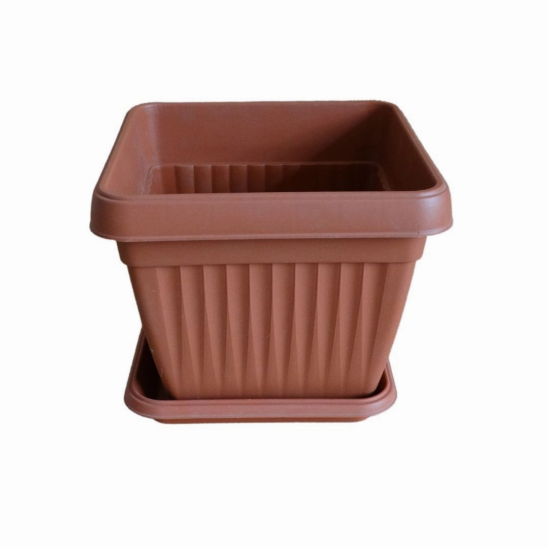 Plastic Bello Square 10 Inch Pot With 8 Inch Tray