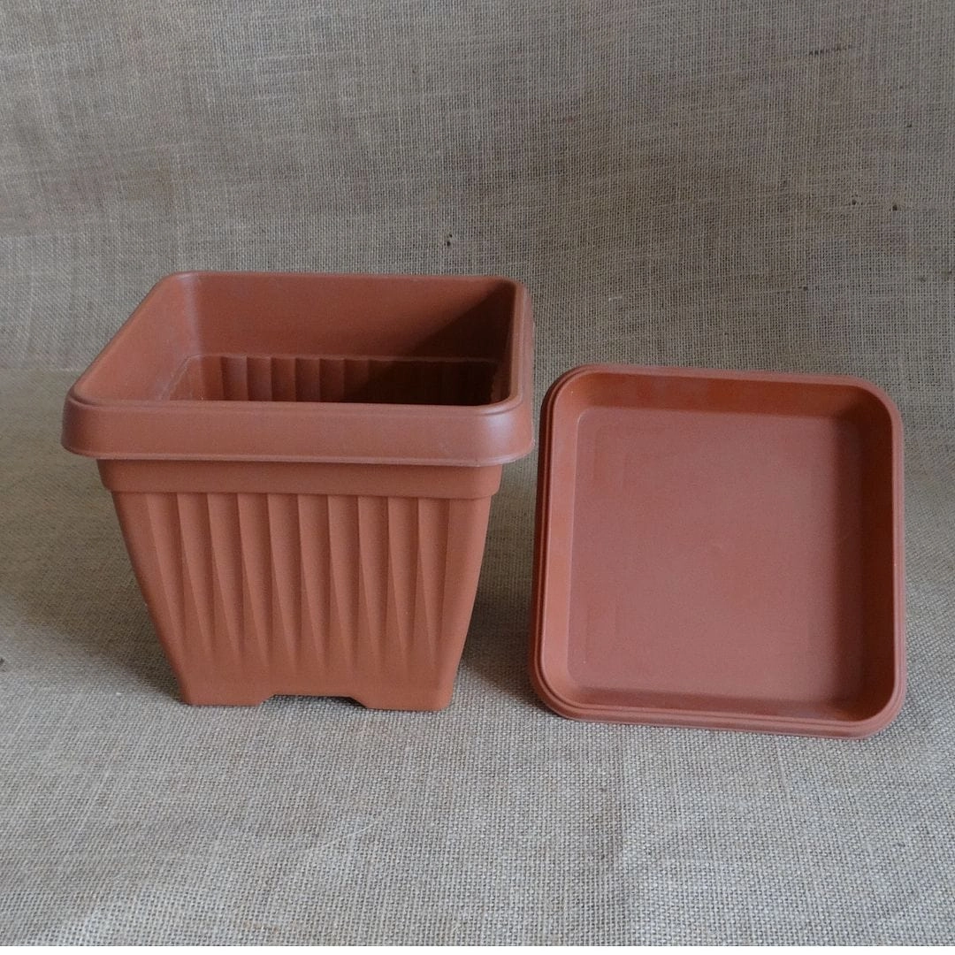 Plastic Bello Square 10 Inch Pot With 8 Inch Tray