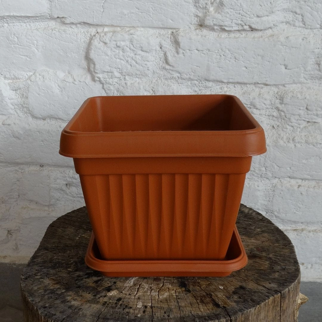 Plastic Bello Square 10 Inch Pot With 8 Inch Tray