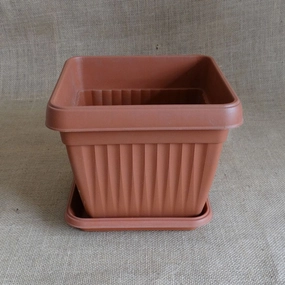 Plastic Bello Square 10 Inch Pot With 8 Inch Tray hanging green plant  