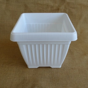Plastic Bello Square-25 Pot, Dia- 25 cm classic flowerpot  