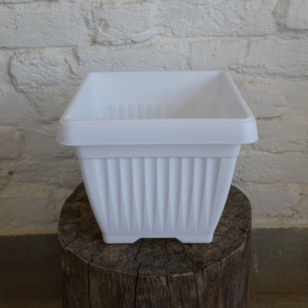 Plastic Bello Square-25 Pot, Dia- 25 cm