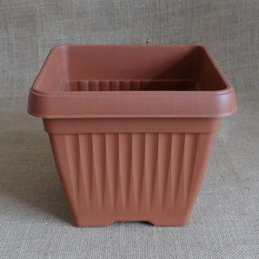 Plastic Bello Square Pot, Dia-10 inch hanging green plant  