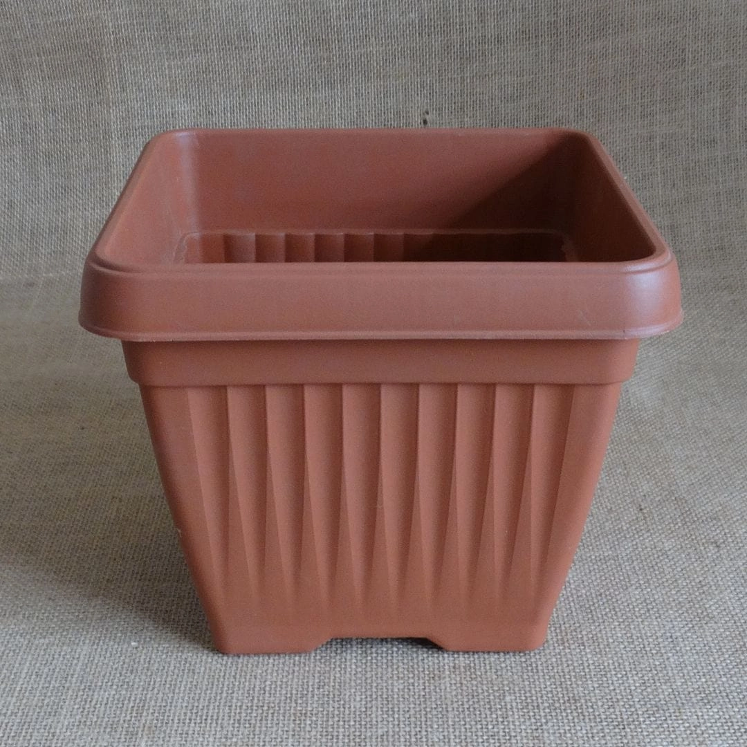 Plastic Bello Square Pot, Dia-10 inch hanging green plant  