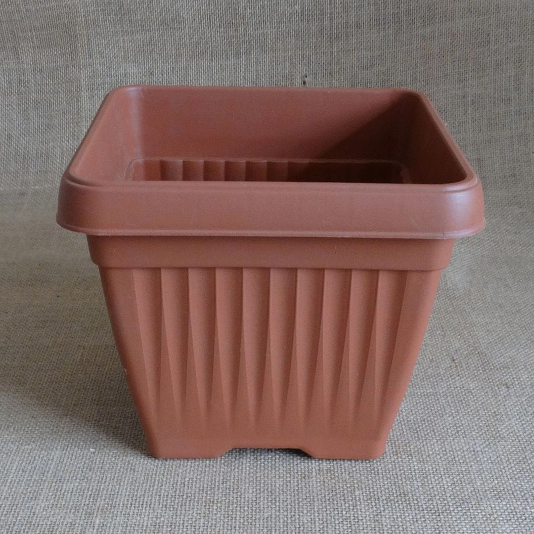 Plastic Bello Square Pot, Dia-10 inch