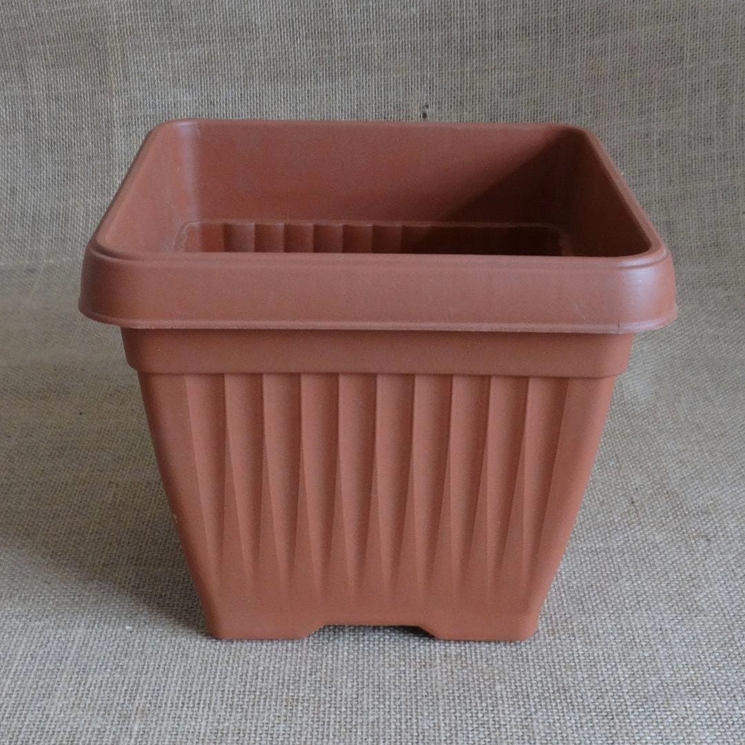 Plastic Bello Square Pot, Dia-10 inch