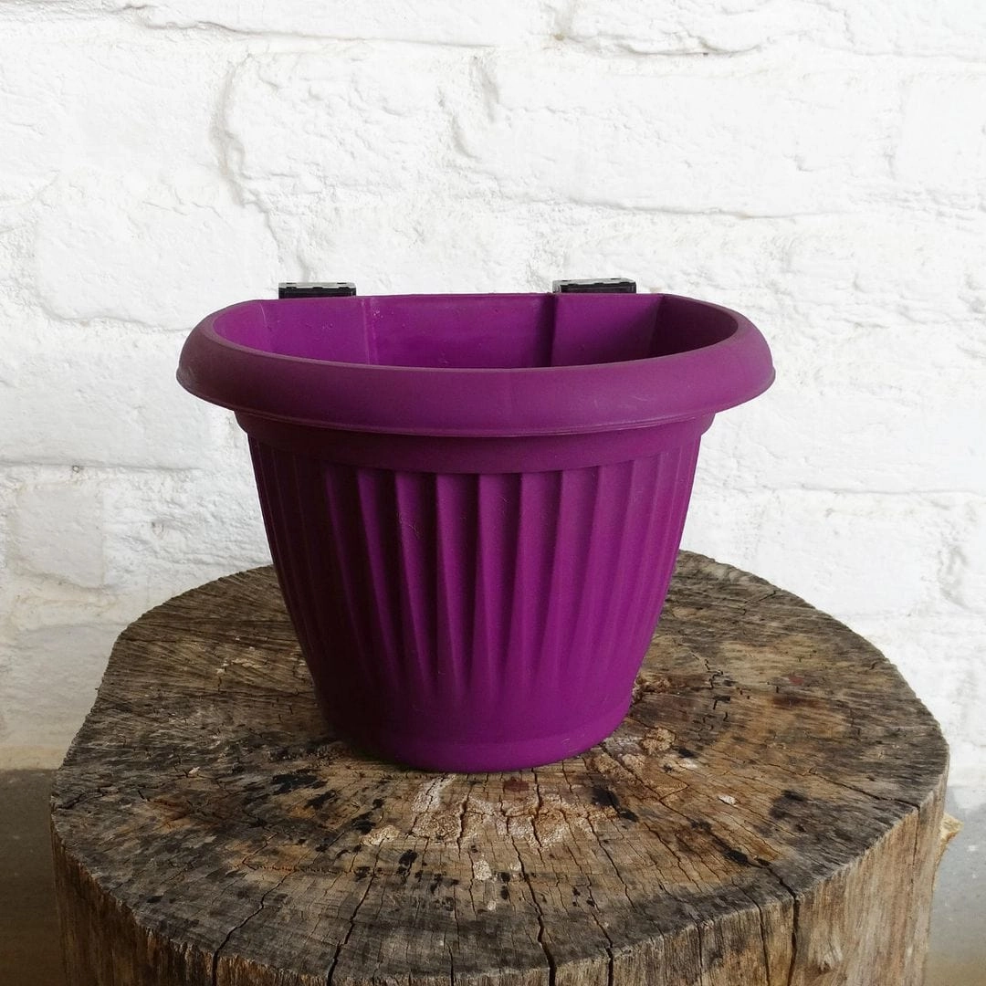 Plastic Bello Wall Planter, Dia-5.7 Inch