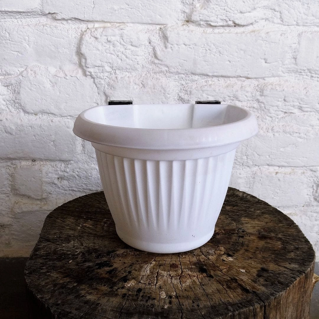 Plastic Bello Wall Planter, Dia-5.7 Inch