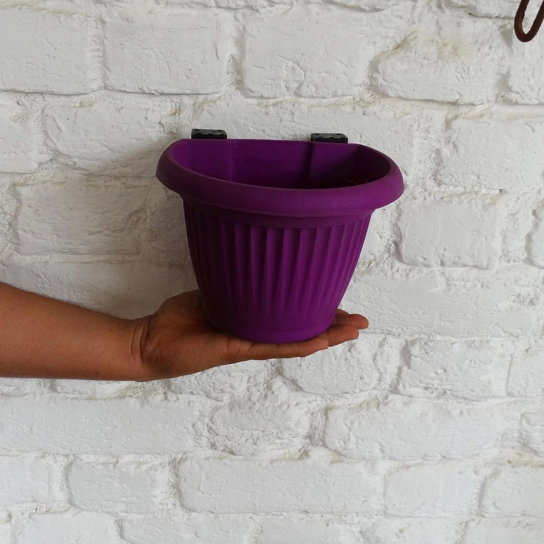 Plastic Bello Wall Planter, Dia-5.7 Inch