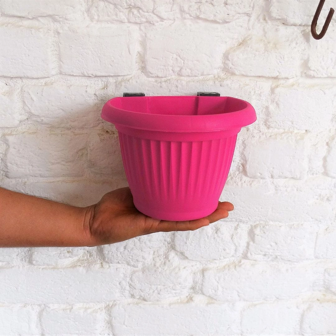 Plastic Bello Wall Planter, Dia-5.7 Inch