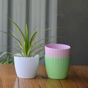 Plastic Capri Pot/Planter- Set of 4 hanging green plant  