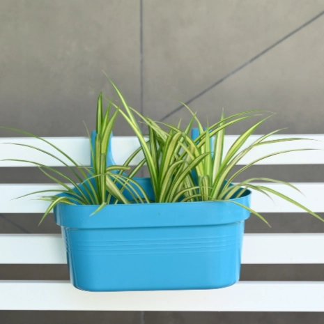 Plastic Double Hook Railing Pot- Set of 4
