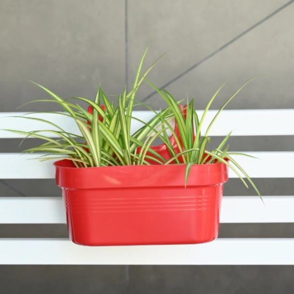 Plastic Double Hook Railing Pot- Set of 4
