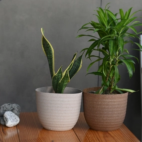 Plastic Eco Verona 17 Pot/ Planter- Set of 4 shade perennial  