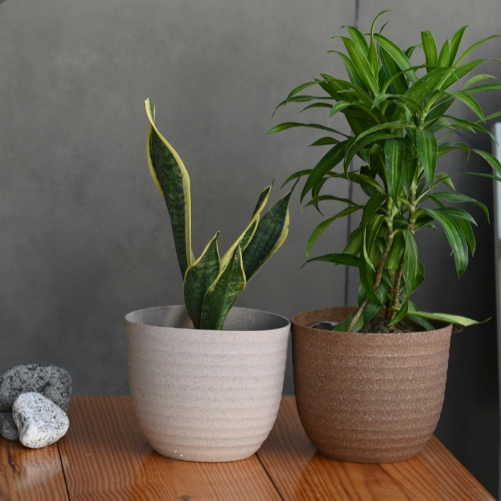 Plastic Eco Verona 17 Pot/ Planter- Set of 4 desktop planter  