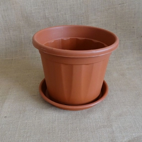 Plastic Grower 10 Inch Pot With 10 inch Tray hanging green plant  
