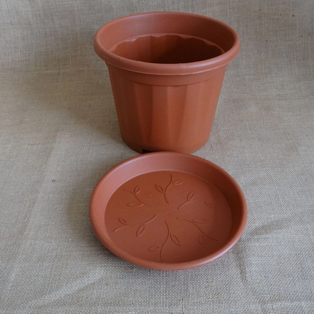 Plastic Grower 10 Inch Pot With 10 inch Tray