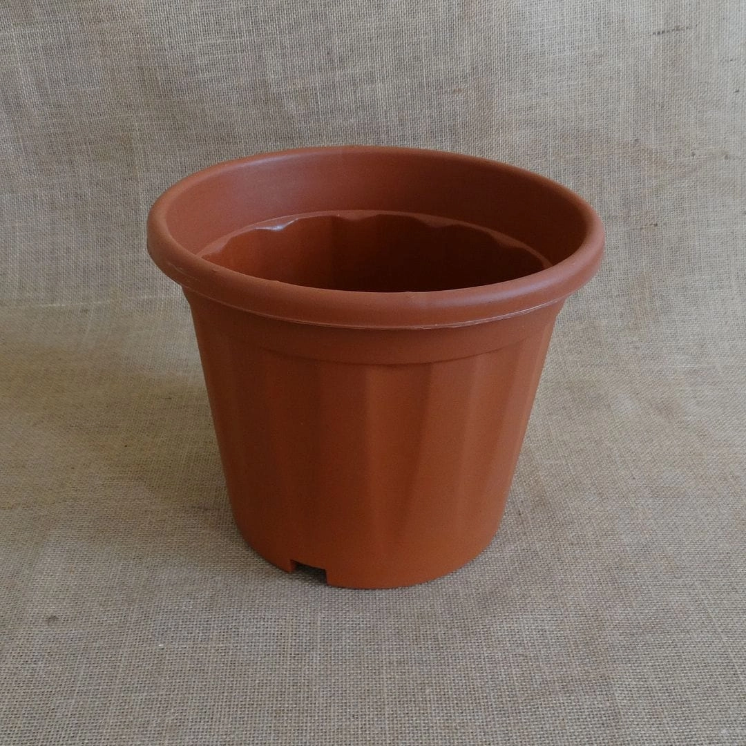 Plastic Grower Pot, Dia-14 Inch hanging green plant  