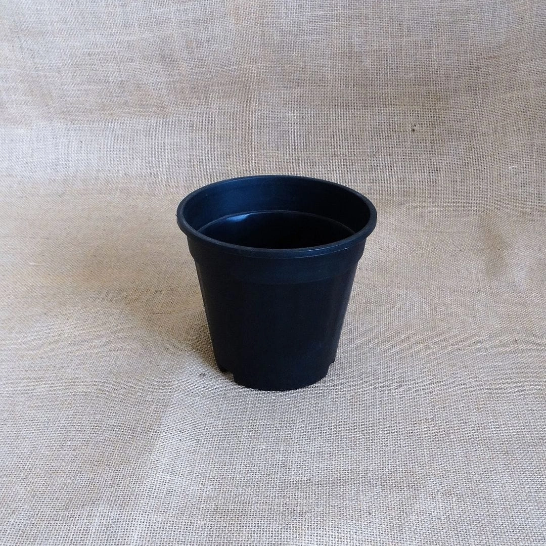 Plastic Grower Pot, Dia-6 Inch