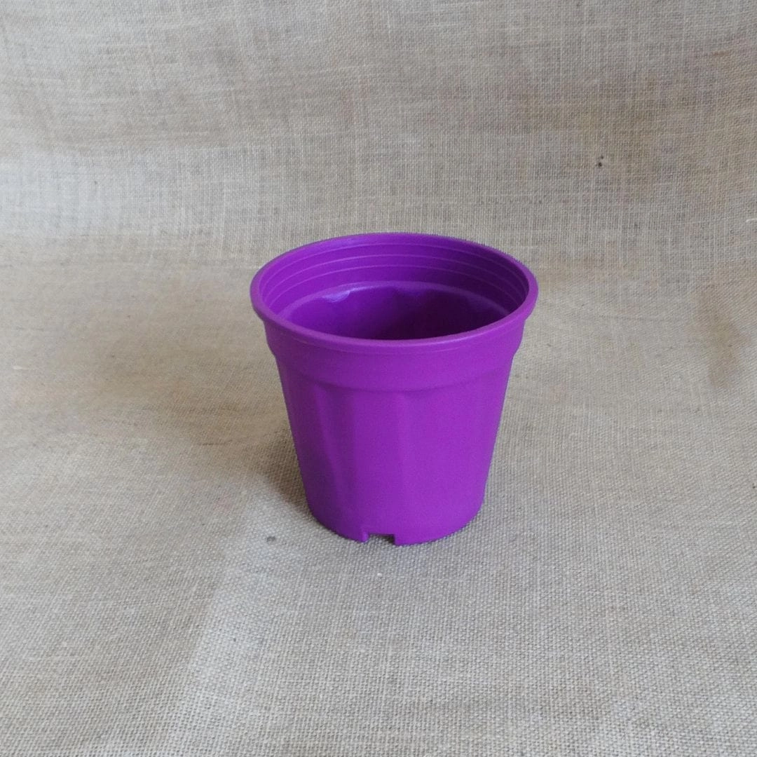 Plastic Grower Pot, Dia-6 Inch