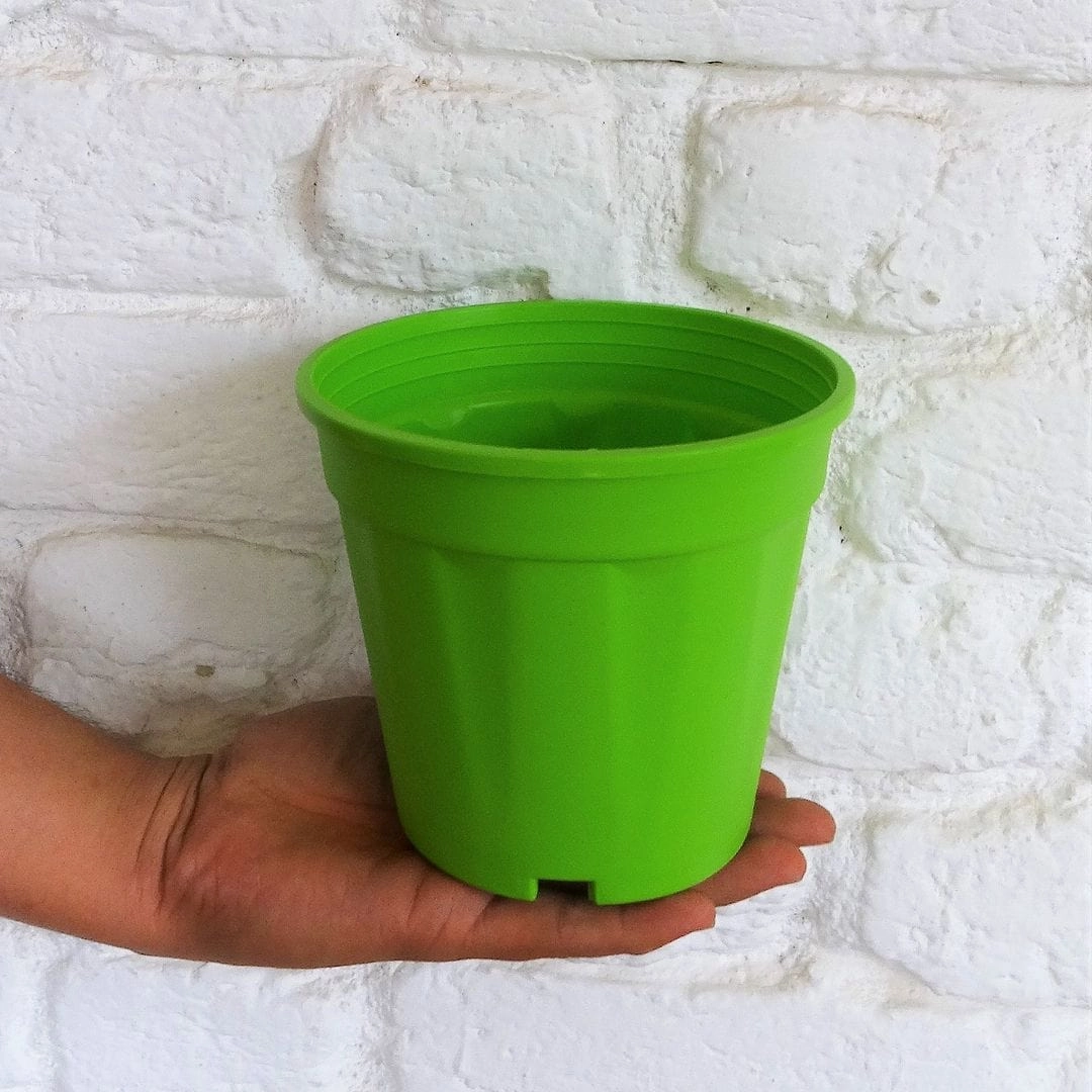 Plastic Grower Pot, Dia-6 Inch