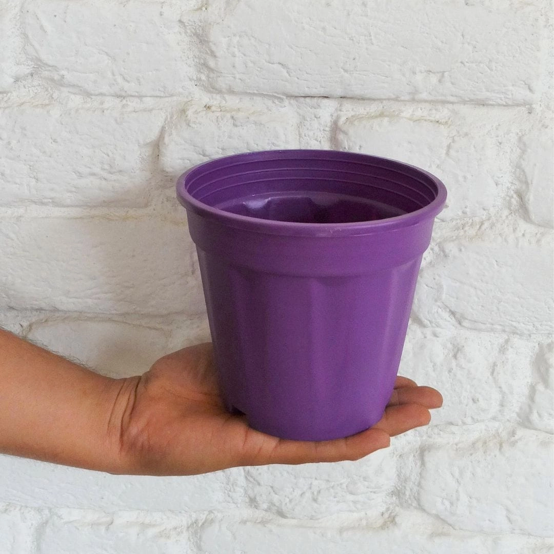 Plastic Grower Pot, Dia-6 Inch