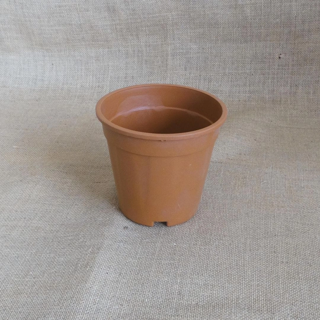 Plastic Grower Pot, Dia-6 Inch