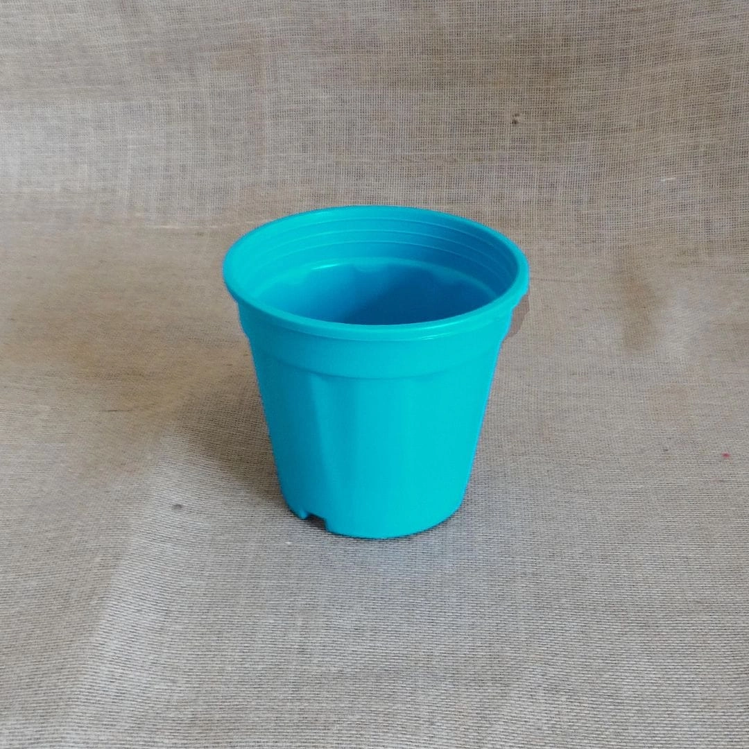 Plastic Grower Pot, Dia-6 Inch