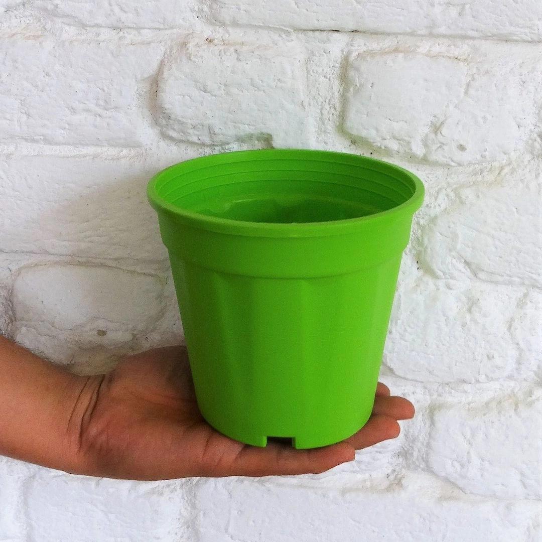 Plastic Grower Pot, Dia-6 Inch