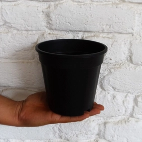 Plastic Grower Pot, Dia-6 Inch desktop planter  