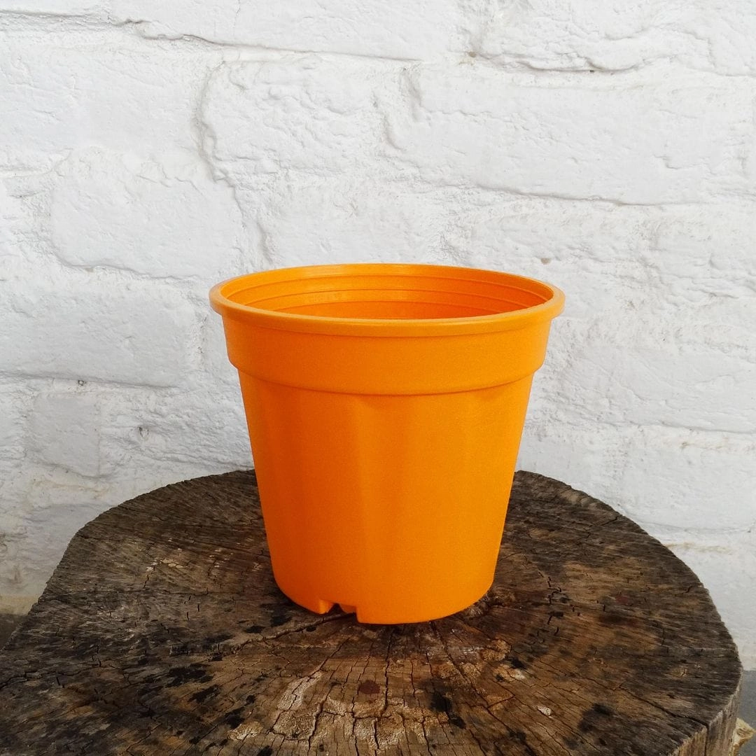 Plastic Grower Pot, Dia-6 Inch