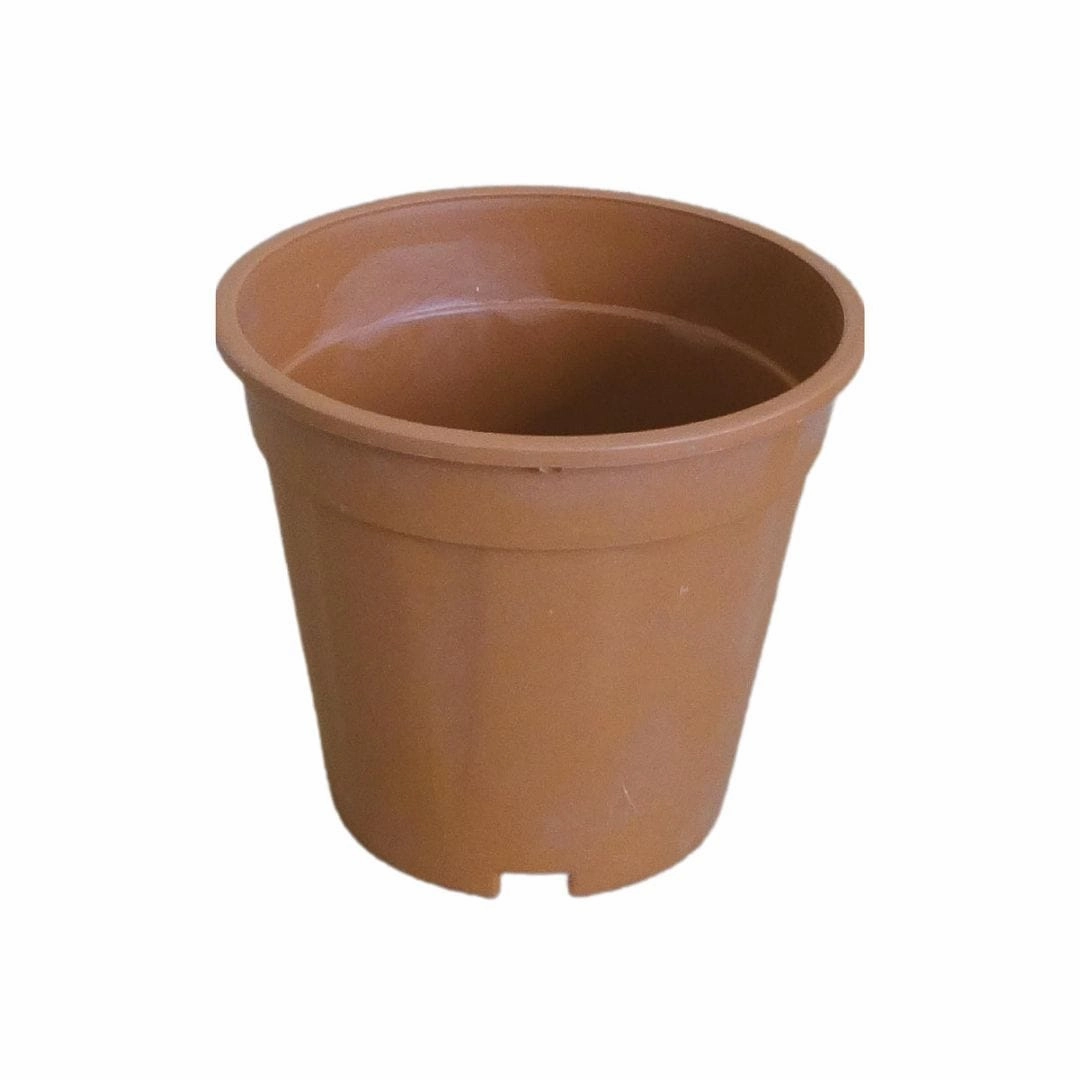 Plastic Grower Pot, Dia-6 Inch