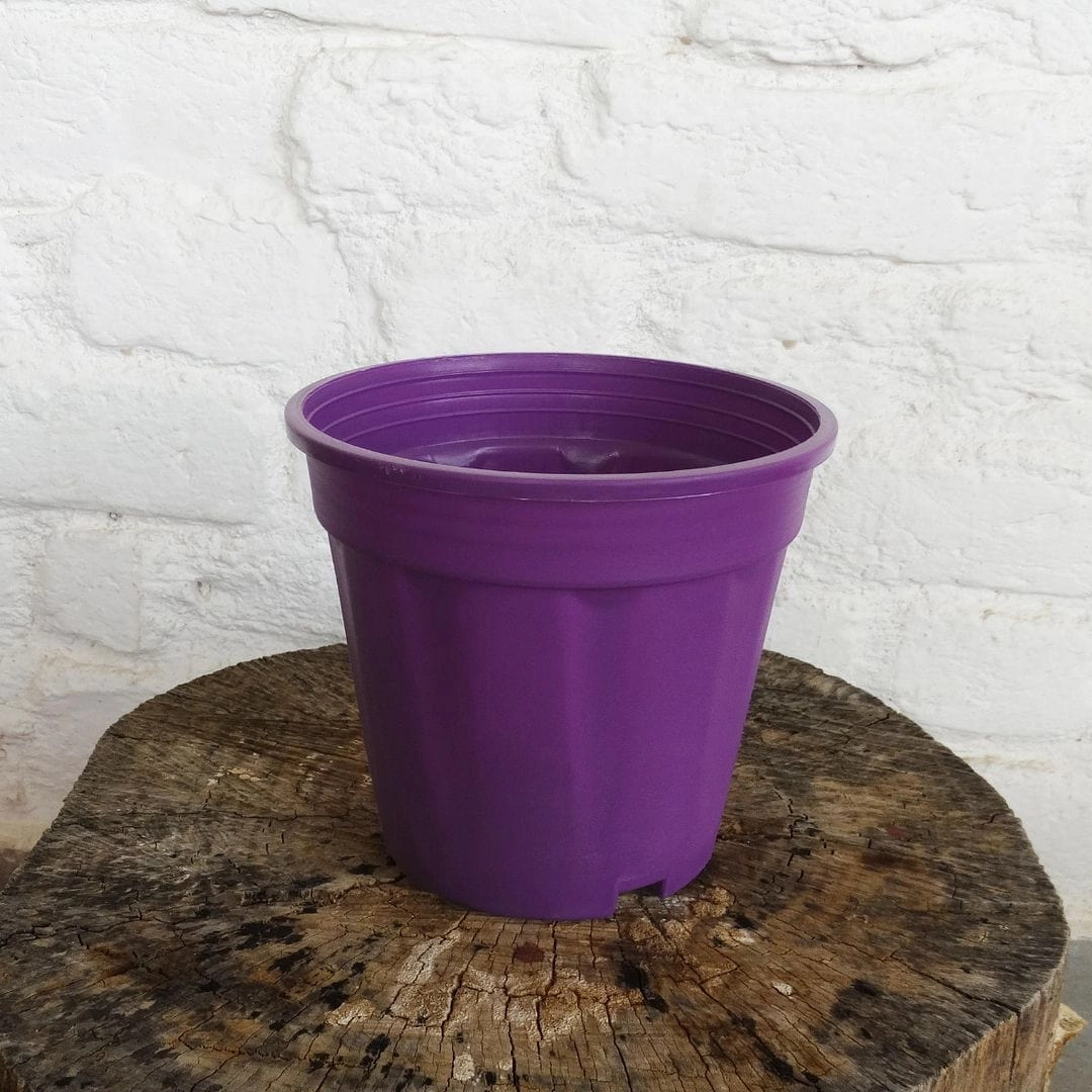 Plastic Grower Pot, Dia-6 Inch