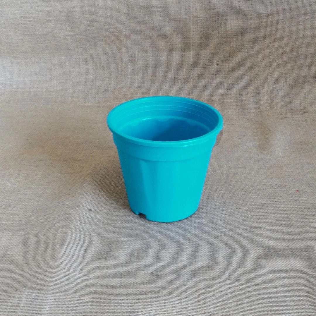 Plastic Grower Pot, Dia-6 Inch