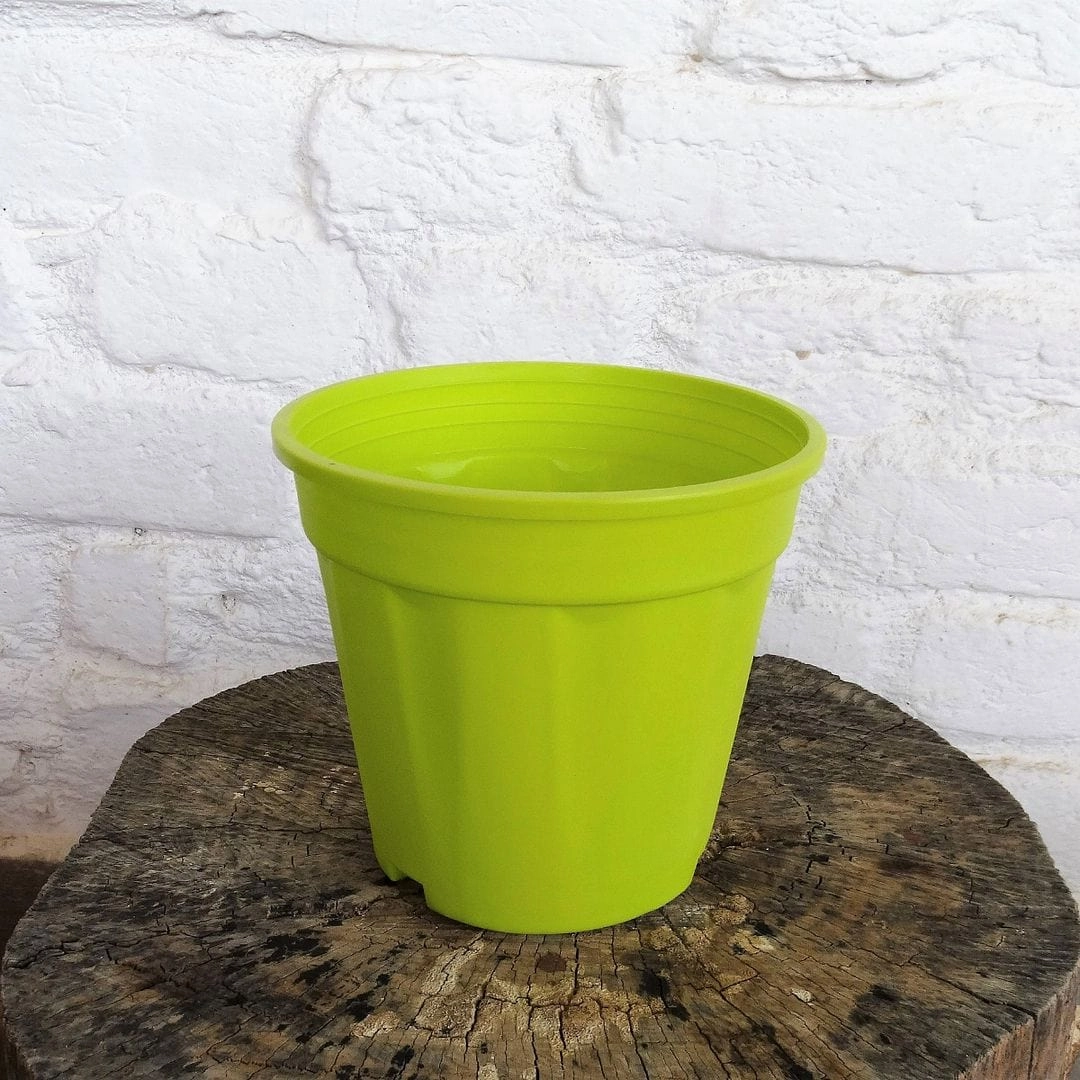 Plastic Grower Pot, Dia-6 Inch
