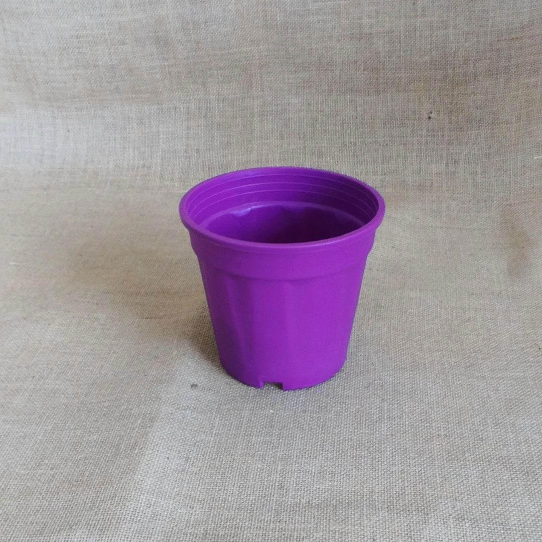 Plastic Grower Pot, Dia-6 Inch