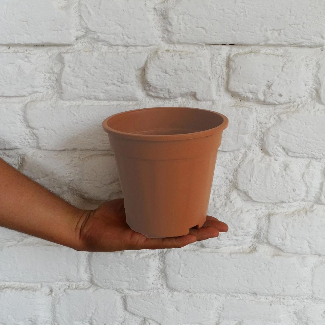 Plastic Grower Pot, Dia-6 Inch