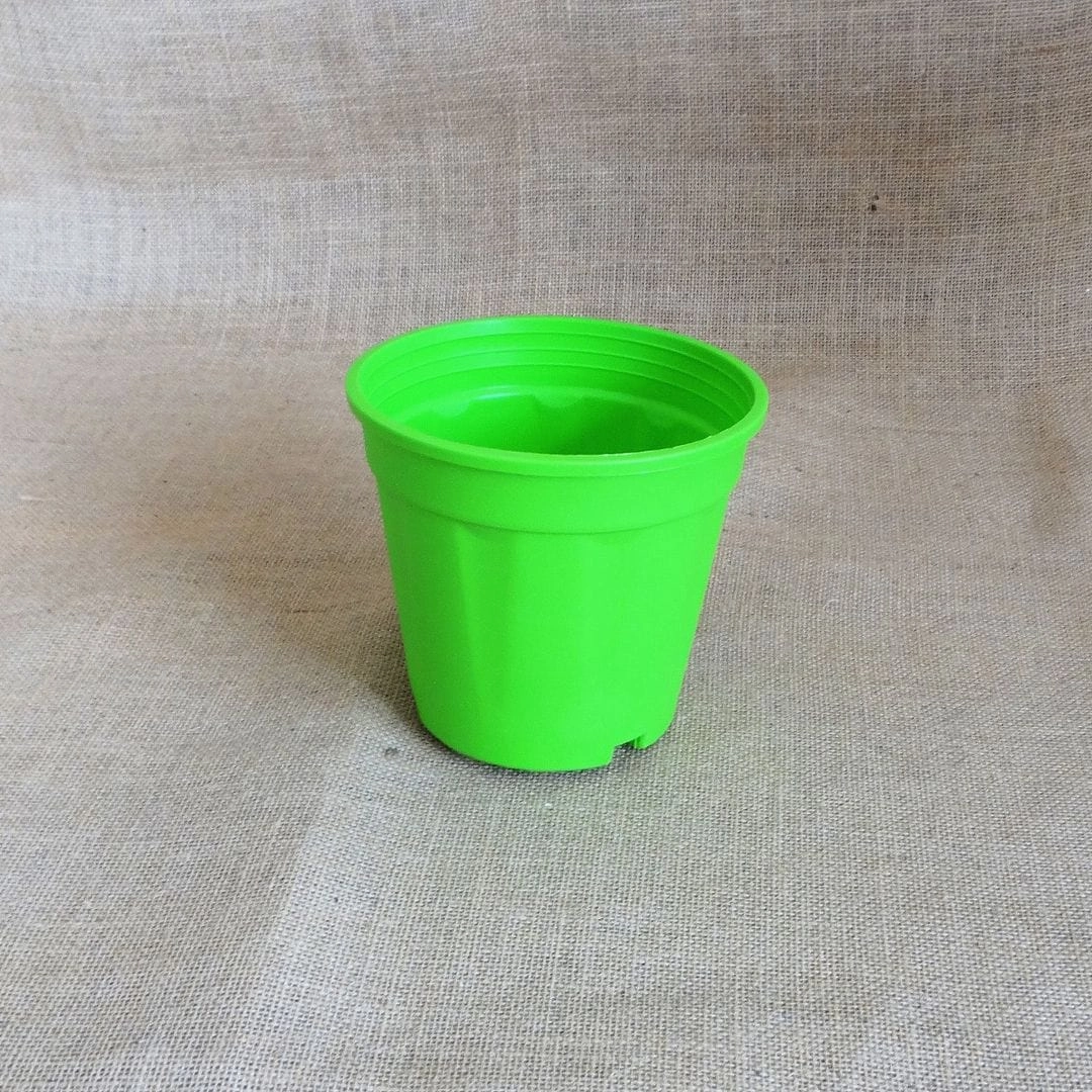 Plastic Grower Pot, Dia-6 Inch