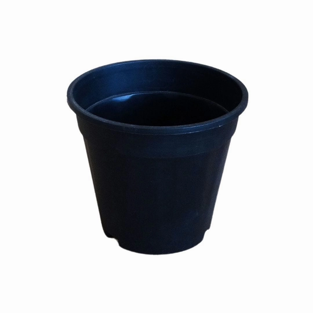 Plastic Grower Pot, Dia-6 Inch