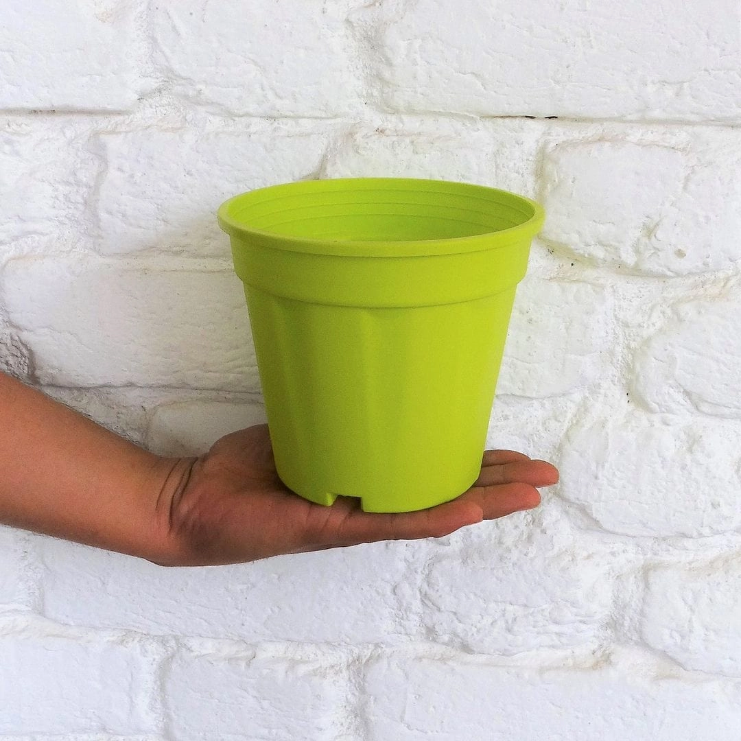 Plastic Grower Pot, Dia-6 Inch
