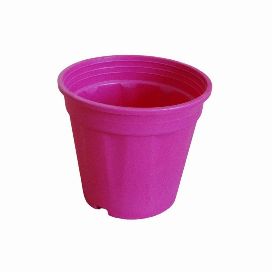 Plastic Grower Pot, Dia-6 Inch
