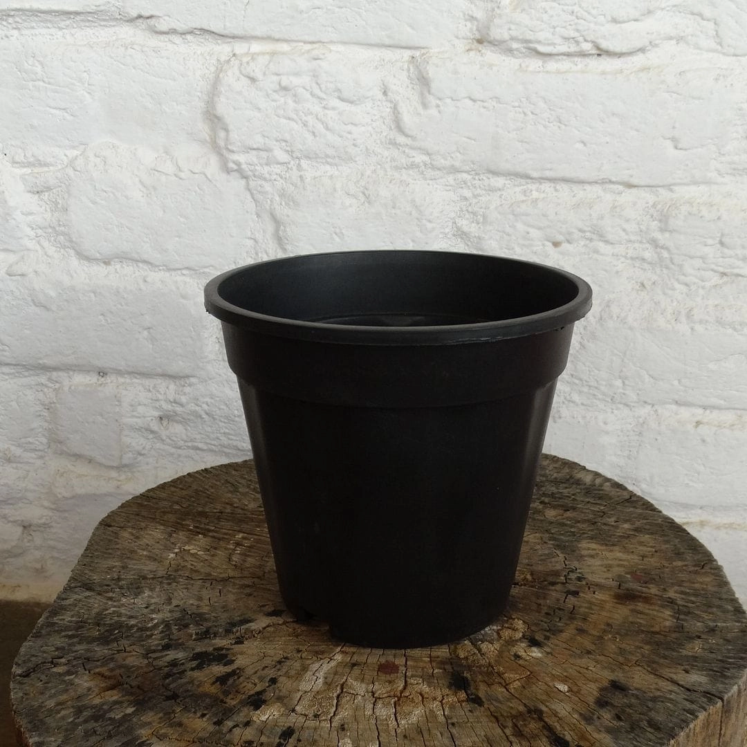 Plastic Grower Pot, Dia-6 Inch