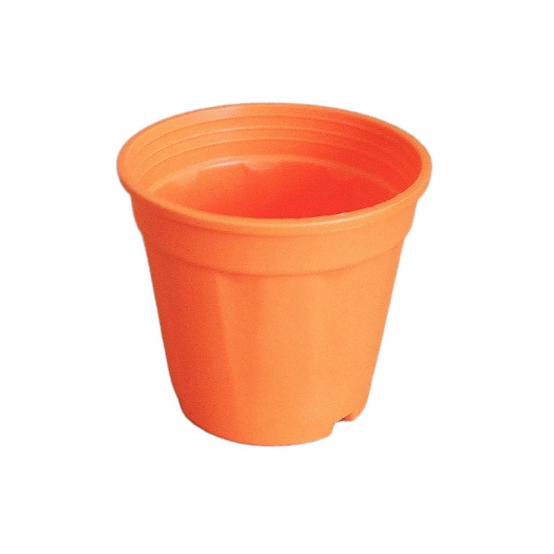Plastic Grower Pot, Dia-6 Inch