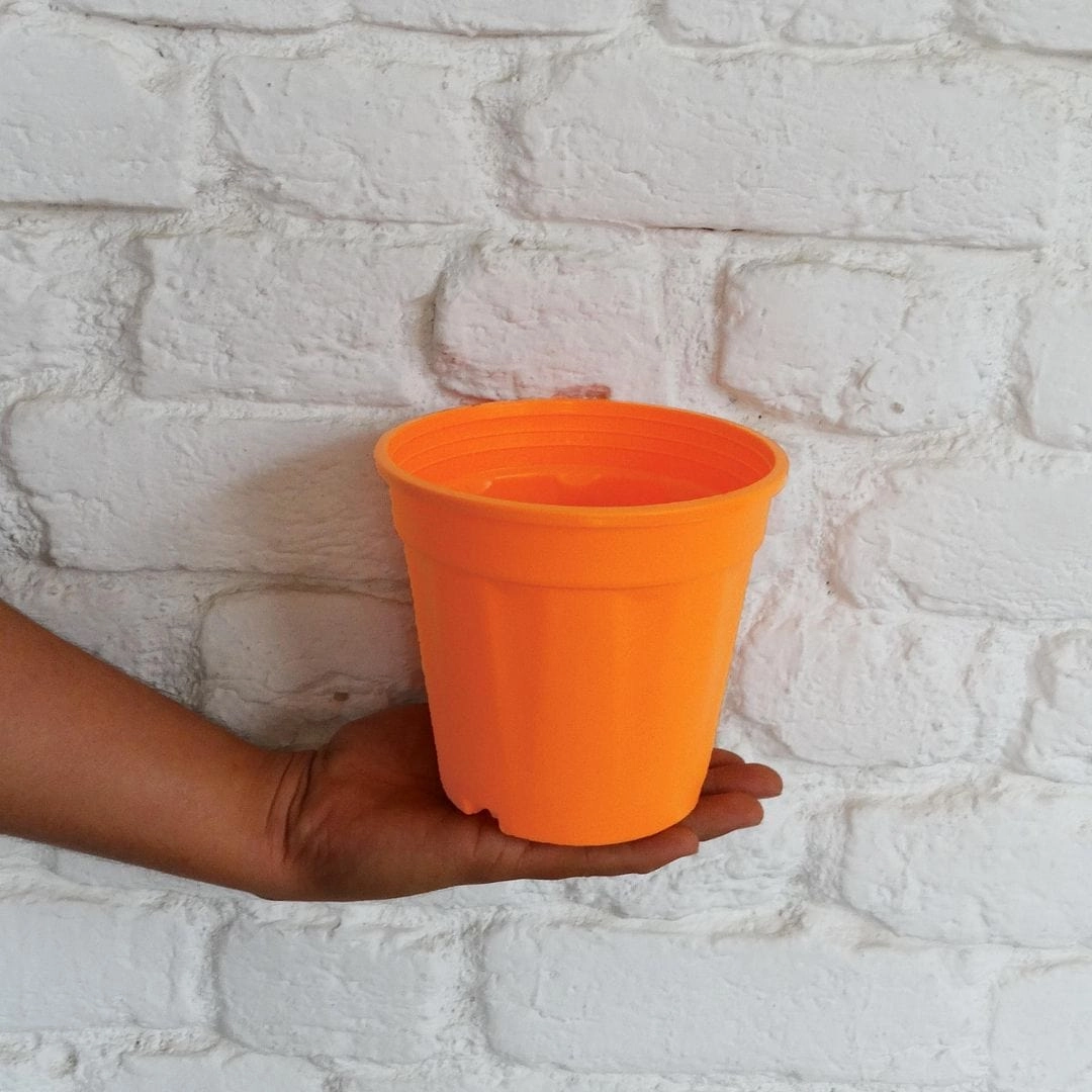 Plastic Grower Pot, Dia-6 Inch