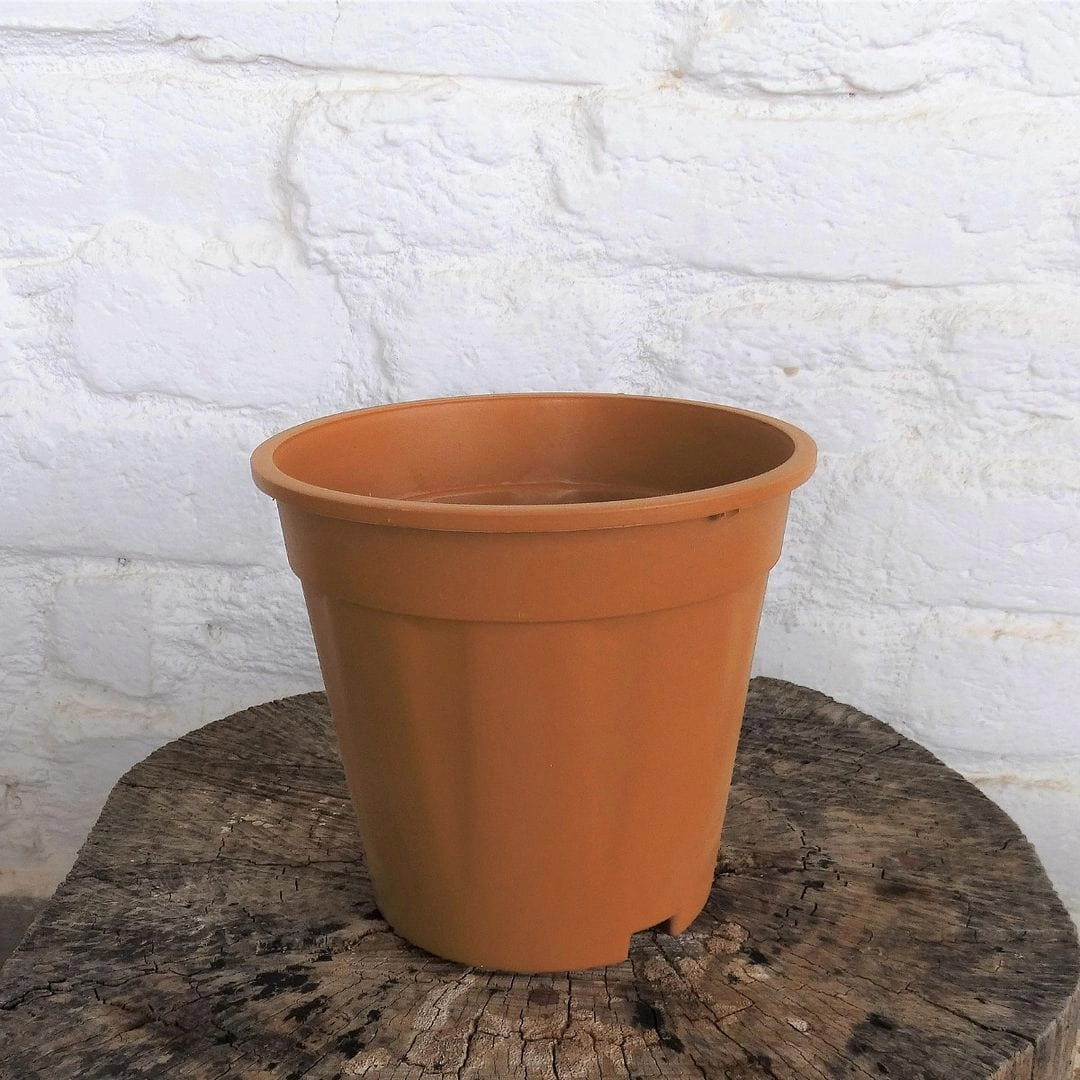 Plastic Grower Pot, Dia-6 Inch