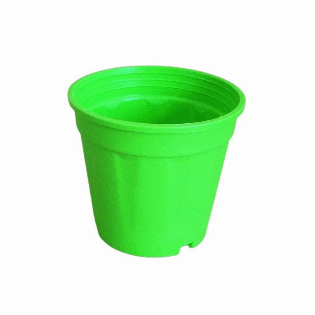 Plastic Grower Pot, Dia-6 Inch
