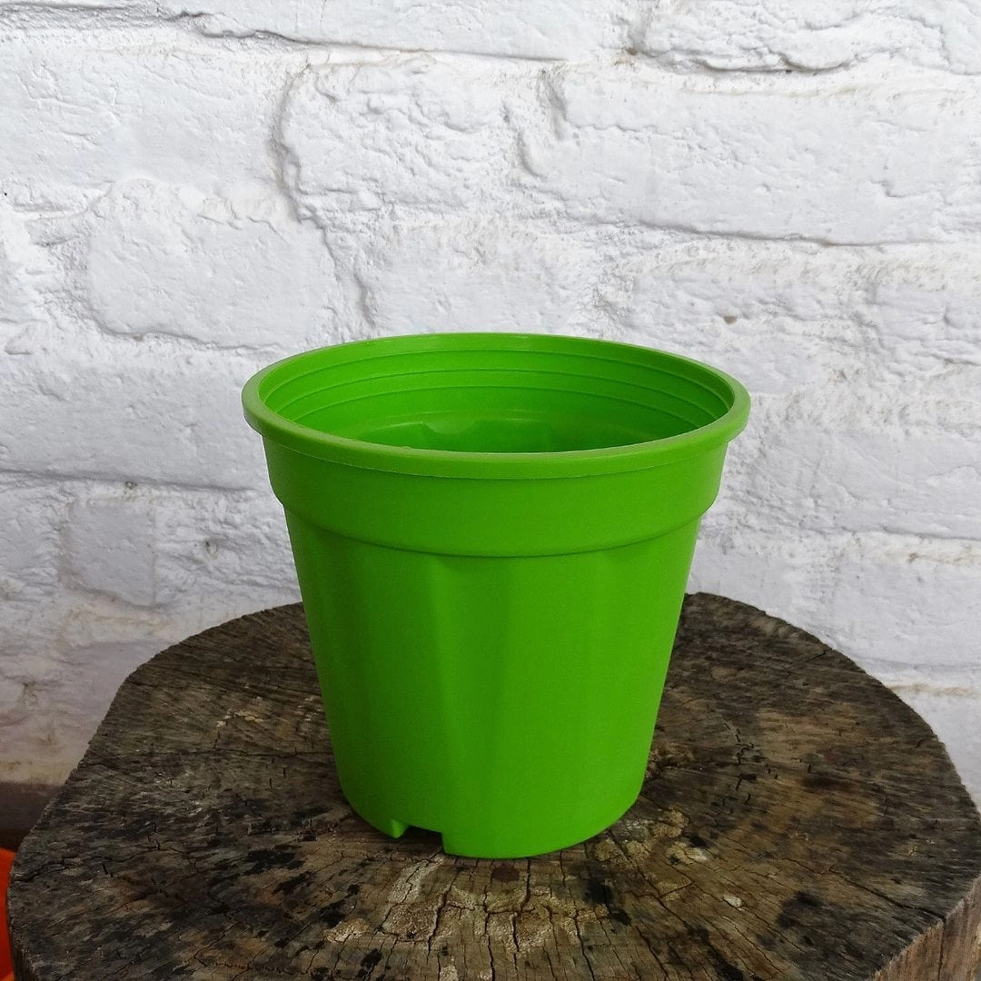 Plastic Grower Pot, Dia-6 Inch
