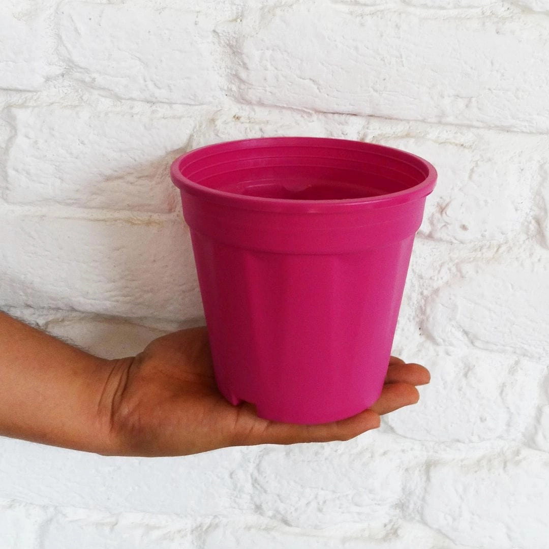 Plastic Grower Pot, Dia-6 Inch
