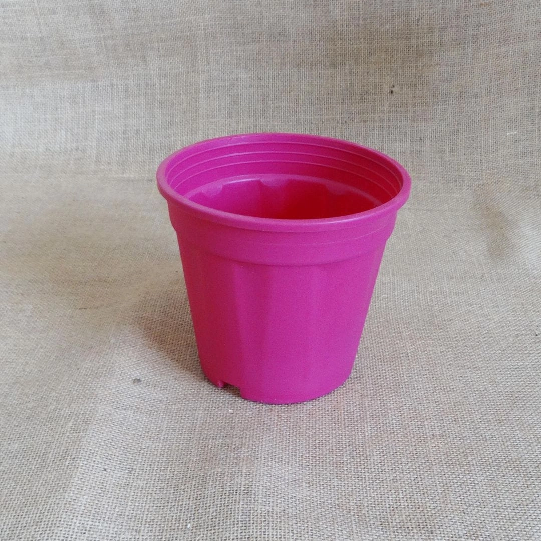 Plastic Grower Pot, Dia-6 Inch