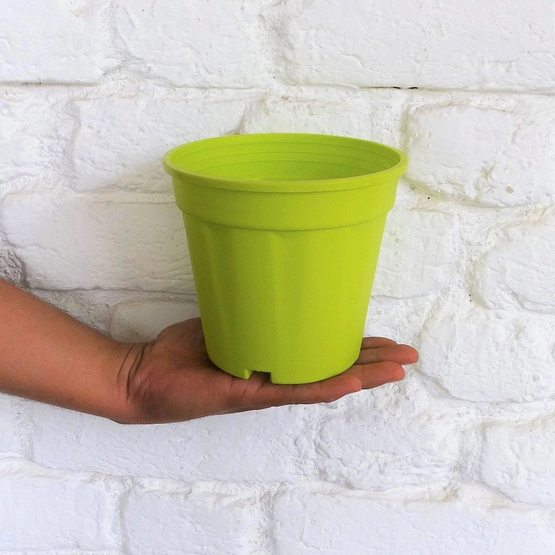 Plastic Grower Pot, Dia-6 Inch